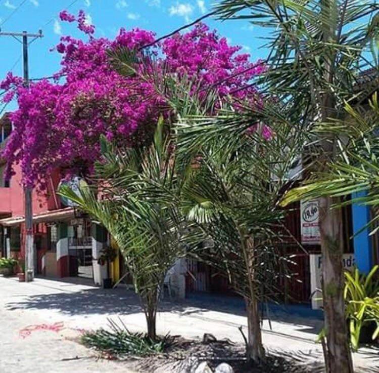 Pousada Estrela Itacaré Exteriér fotografie